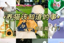 养猫须知（选择适合的猫咪和提供良好的养育环境）