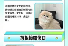 猫咪近亲交配的注意事项（猫咪近亲交配的风险和合理的育种方法）