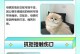 猫咪近亲交配的注意事项（猫咪近亲交配的风险和合理的育种方法）