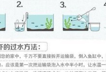 红腹短颈龟的饲养方法（营养、水质、环境等关键因素重点探讨）