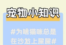 小猫的排便习惯（探索小猫生长过程中的排便特点和变化）