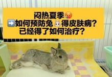 兔子患皮肤病会导致死亡吗？（皮肤病对兔子生命的影响及预防措施）