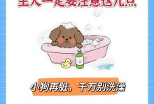 宠物到家了，幼犬需要注意的三件事（让你的新家庭成员健康快乐生活）