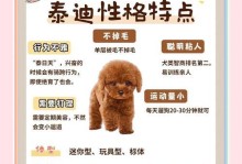 泰迪狗的生理期周期及注意事项（了解泰迪狗生理期周期，关爱宠物健康）