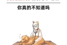 狗狗的胃炎（胃炎的常见病因和治疗措施）