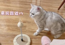 探讨公猫绝育的利与弊（绝育对公猫是否残忍？生育权是否被剥夺？）