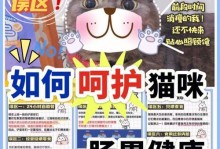 小猫咪人工喂奶的正确姿势（3招教你正确投喂，呵护小猫咪健康）