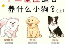 选择适合自己养的小狗品种（为什么你应该选择这个品种）