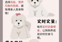 如何让你的比熊听话（宠物培训，让你的比熊变乖）