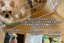 小博美三个月吃什么狗粮好？（了解适合小博美三个月的狗粮选择，让它健康成长！）