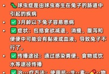 兔子吃球虫药的频率及注意事项（了解兔子吃球虫药的时间间隔和用药注意事项）
