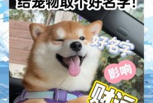 如何为你的小狗起个合适的名字（15个小狗名字灵感和如何选择名字的建议）
