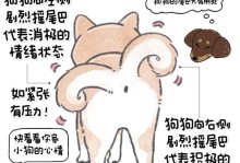 揭秘狗狗的微表情（狗狗微表情揭示真心话，你能看出吗？）