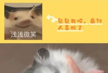 金狐仓鼠与其他品种的仓鼠的适应性比较（从性格特点到生活习性，金狐仓鼠能与哪些仓鼠品种和谐相处？）