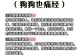 母狗的月经周期与健康（探讨母狗一次月经来多久的关键因素及对健康的影响）