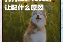 狗狗配种到生多久能洗澡？（洗澡的最佳时机和注意事项）