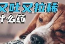 让宠物不拉稀的神奇方法（以狗狗吐吃什么药不拉稀怎么回事啊？）