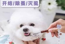 如何有效清洁比熊犬泪痕？（宠物护理必备技巧，教你解决泪痕难题）