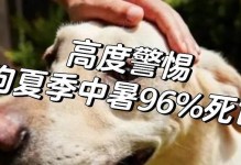 法斗中暑多久会致命的真相（揭秘法斗中暑致命时间，）