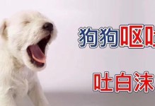 狗呕吐的原因及处理方法（了解狗的呕吐情况，采取正确的处理措施）