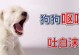 狗呕吐的原因及处理方法（了解狗的呕吐情况，采取正确的处理措施）