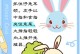兔子的繁衍之道（探秘兔子繁衍的奥秘及技巧）