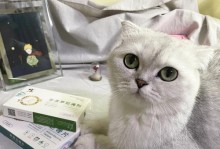 猫咪驱虫后大小便失禁怎么办？（解决猫咪失禁问题的有效方法）