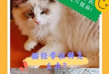 猫咪着凉拉肚子怎么办？（以宠物为主，让你的猫咪健康生活。）