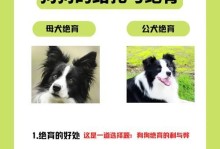 节育后多久才不会乱尿？（探讨节育对尿液控制的影响及康复方法）