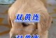 狗狗咳嗽、气喘、干呕的症状不能忽视！（小心狗狗健康问题，这几种症状需要警惕）