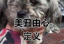 狗狗绝育后的变化（探讨狗狗绝育后的身体和行为变化）