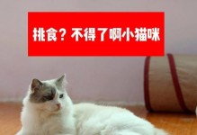 如何解决宠物猫狗挑食问题（让你的宠物健康成长，吃好喝好）