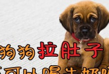 狗狗拉肚问题解决方案（如何通过饮食改善狗狗拉肚问题）