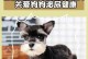 狗狗睡觉漏尿的原因（了解为什么狗狗会在睡觉时漏尿）