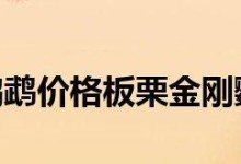 栗额金刚鹦鹉饲养全指南（栗额金刚鹦鹉的品种特点和养殖技巧）