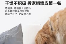 解决泰迪犬挑食问题的有效方法（如何让泰迪犬克服挑食习惯，健康饮食关键在于坚持训练）