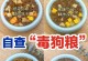 狗狗饮食指南（狗粮喂养频次和食量的科学原则）