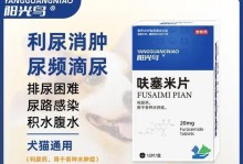 狗狗健康保健（探索适用于狗狗的药物以维护其健康）