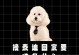 准备迎接泰迪狗宝宝的必备物品（为你的泰迪宝宝做好充分准备）
