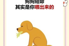 适合狗狗食用的蔬果品种及其好处（提供给狗狗的健康美味，让蔬果陪伴它们成长）