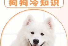 老年犬疾病冷知识（了解老年犬疾病，让狗狗健康幸福度过晚年）