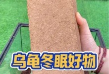 乌龟冬眠的养护方法与好处（乌龟冬眠的注意事项和保健措施）