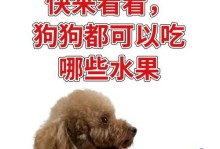 泰迪狗的饮食禁忌与注意事项（了解泰迪狗的饮食健康，宠物生活更美好）