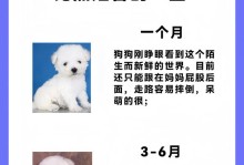 比熊的舌头伸出时间之谜（揭秘比熊舌头伸出的神奇机制与时间限制）