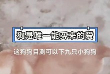 母狗的怀孕周期及避免意外受孕的方法（了解母狗的生理周期，保障宠物健康与福祉）