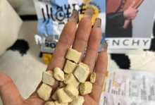 两个月大的猫咪的主要饮食需求（科学饲养使猫咪健康成长）