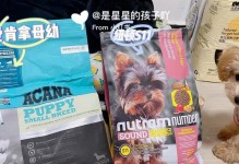 40天里泰迪的饮食全指南（以健康为导向，为您的泰迪提供全面的营养计划）