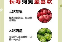 小型犬的饮食需求（健康宠物的关键