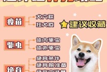 科学合理的给狗驱虫时间选择（狗驱虫的最佳时间与方法）