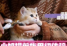 小奶猫何时可以剪指甲？（了解正确时间和方法，帮助小猫宝宝保持健康爪子）